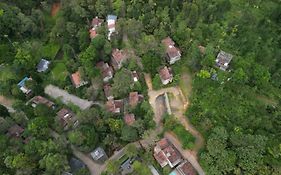 Safari Hills Vythiri